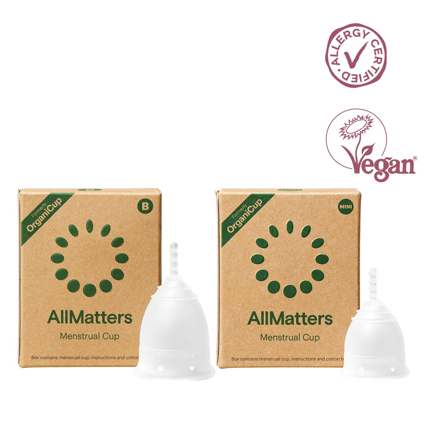 Allmatters 2 Regl Kabı Bir Arada Paketi - 1 Model Mini 1 Model B