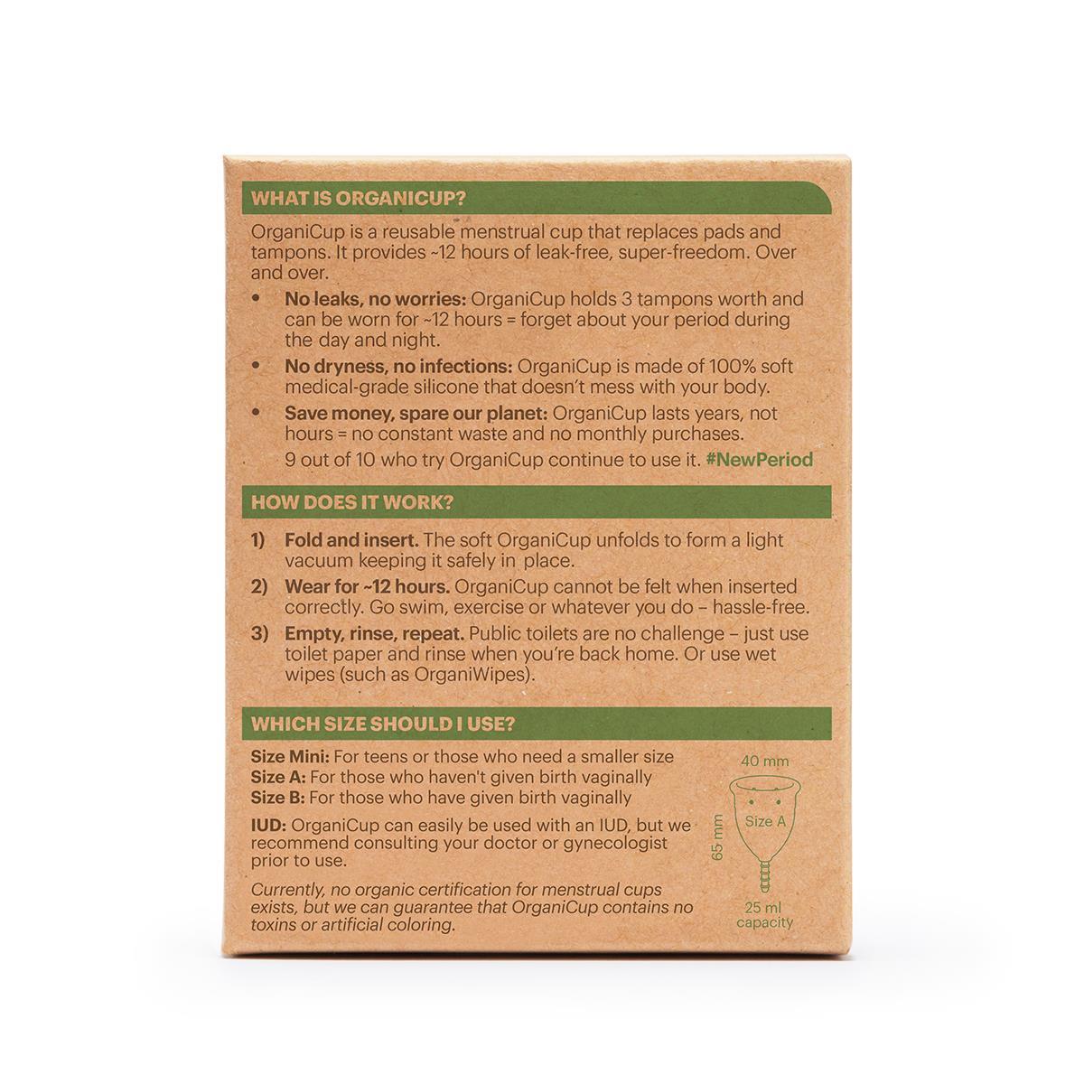 AllMatters Model A Regl Kabı