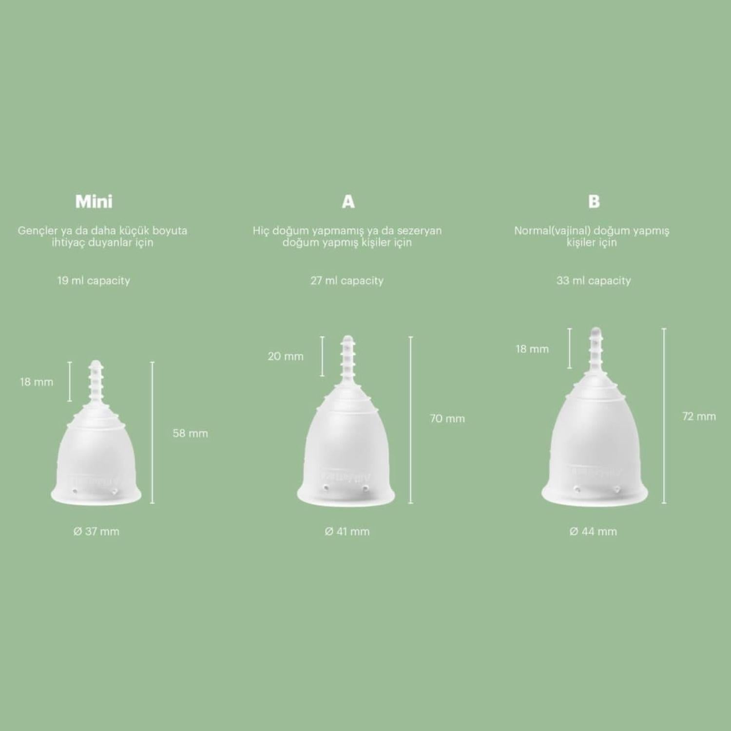 AllMatters Model A Regl Kabı