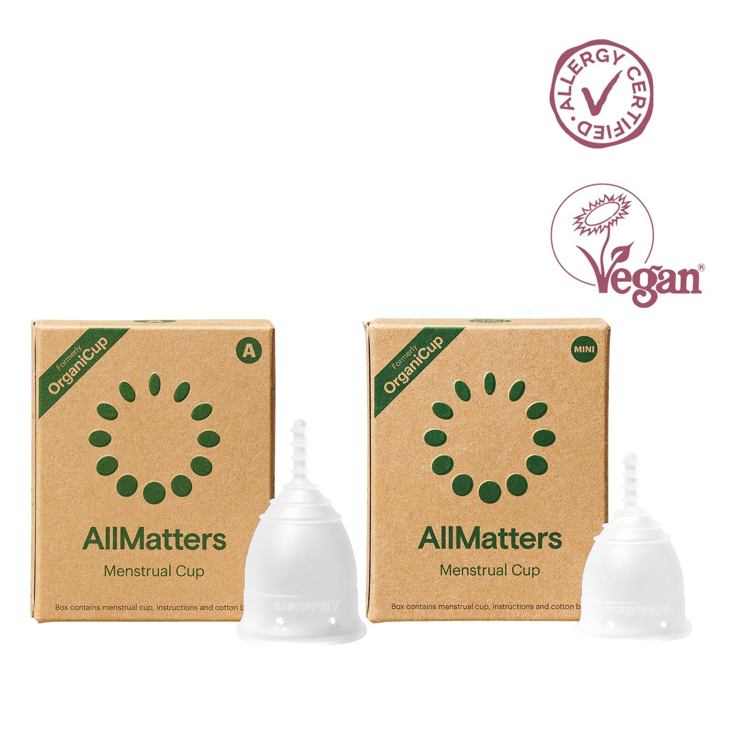 Allmatters 2 Regl Kabı Bir Arada Paketi - 1 Model A 1 Model Mini