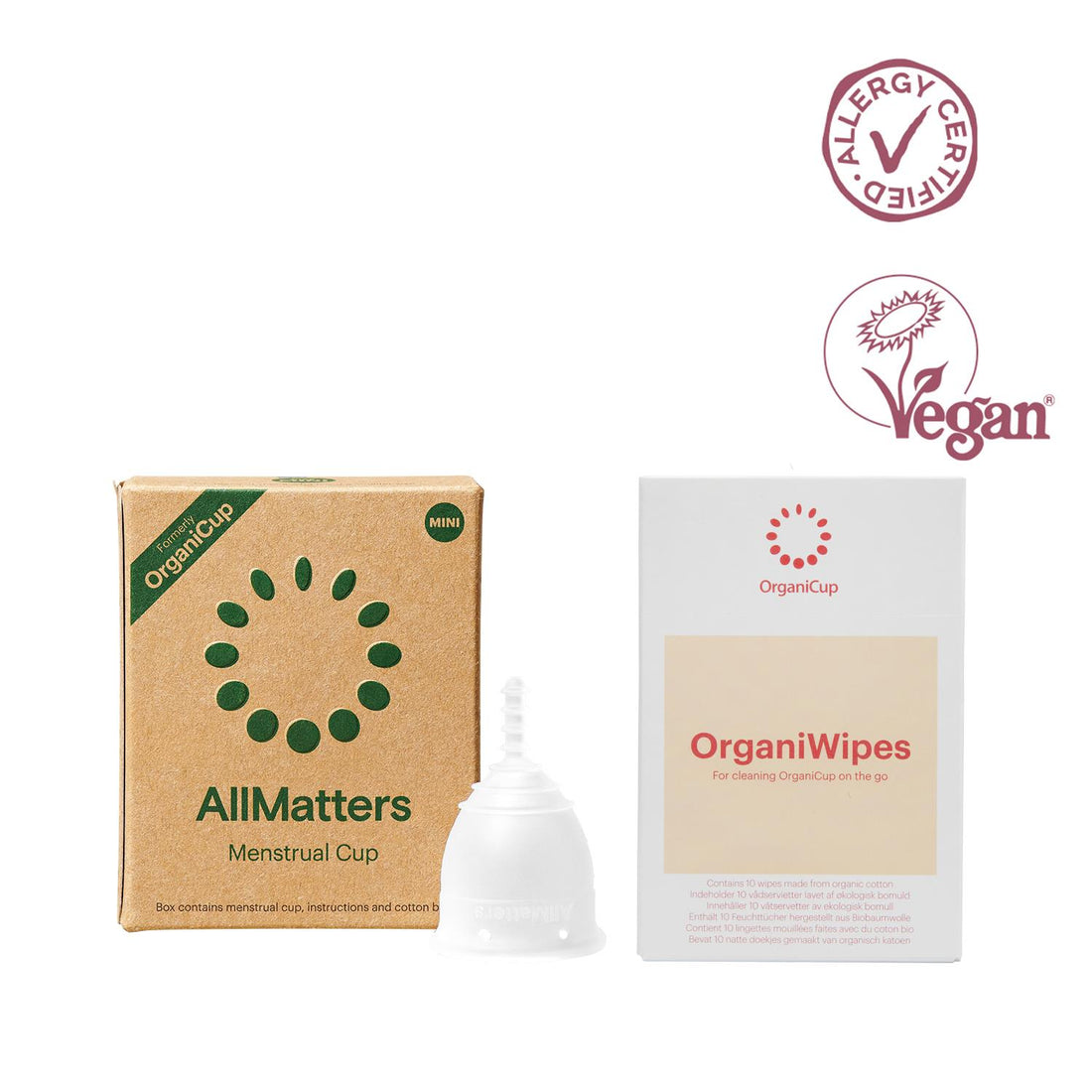 AllMatters Model Mini Regl Kabı ve Mendil Paketi